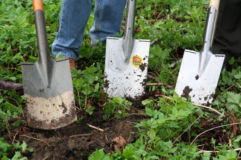 pepiniere-SOLLIES TOUCAS-min_work-lawn-flower-tool-green-backyard-1103633-pxhere.com